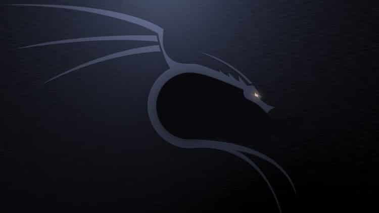 Kali Linux Basics Online Course
